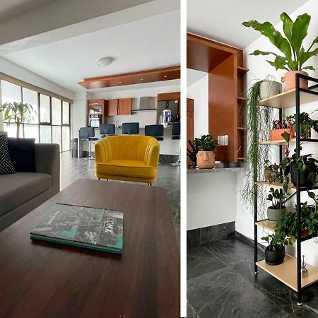 Great Apartment In The Heart Of Coyoacan Мехико Экстерьер фото