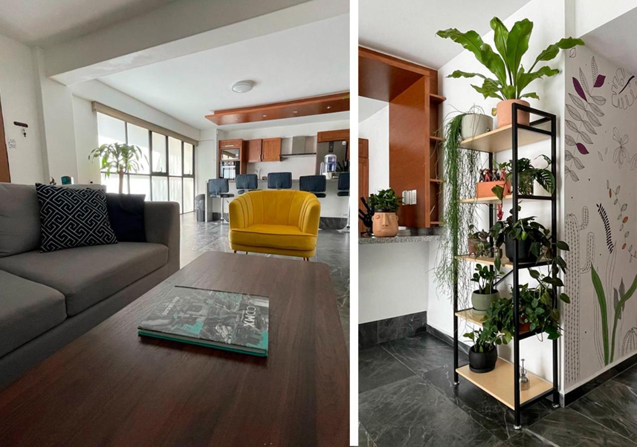 Great Apartment In The Heart Of Coyoacan Мехико Экстерьер фото