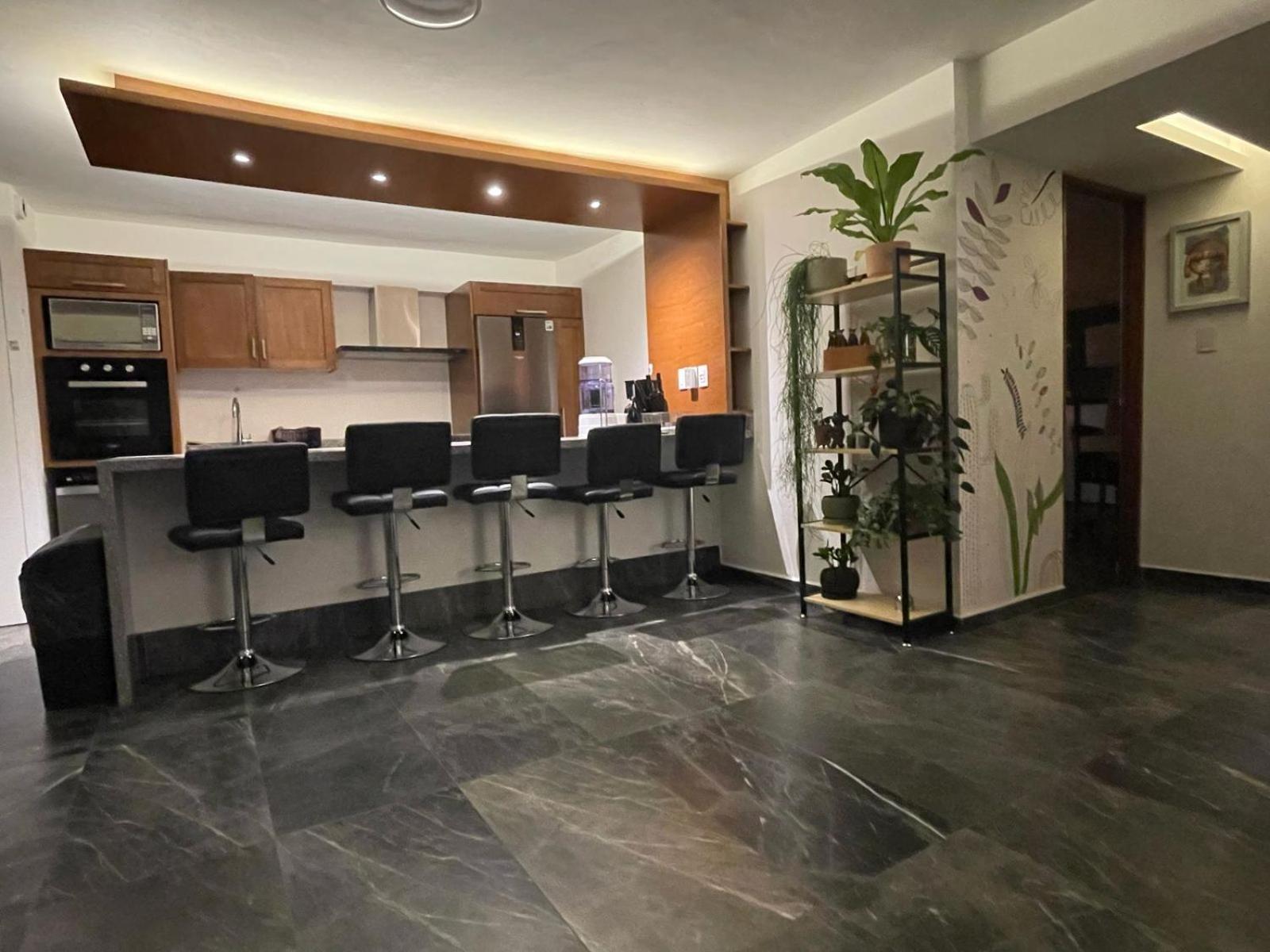 Great Apartment In The Heart Of Coyoacan Мехико Экстерьер фото