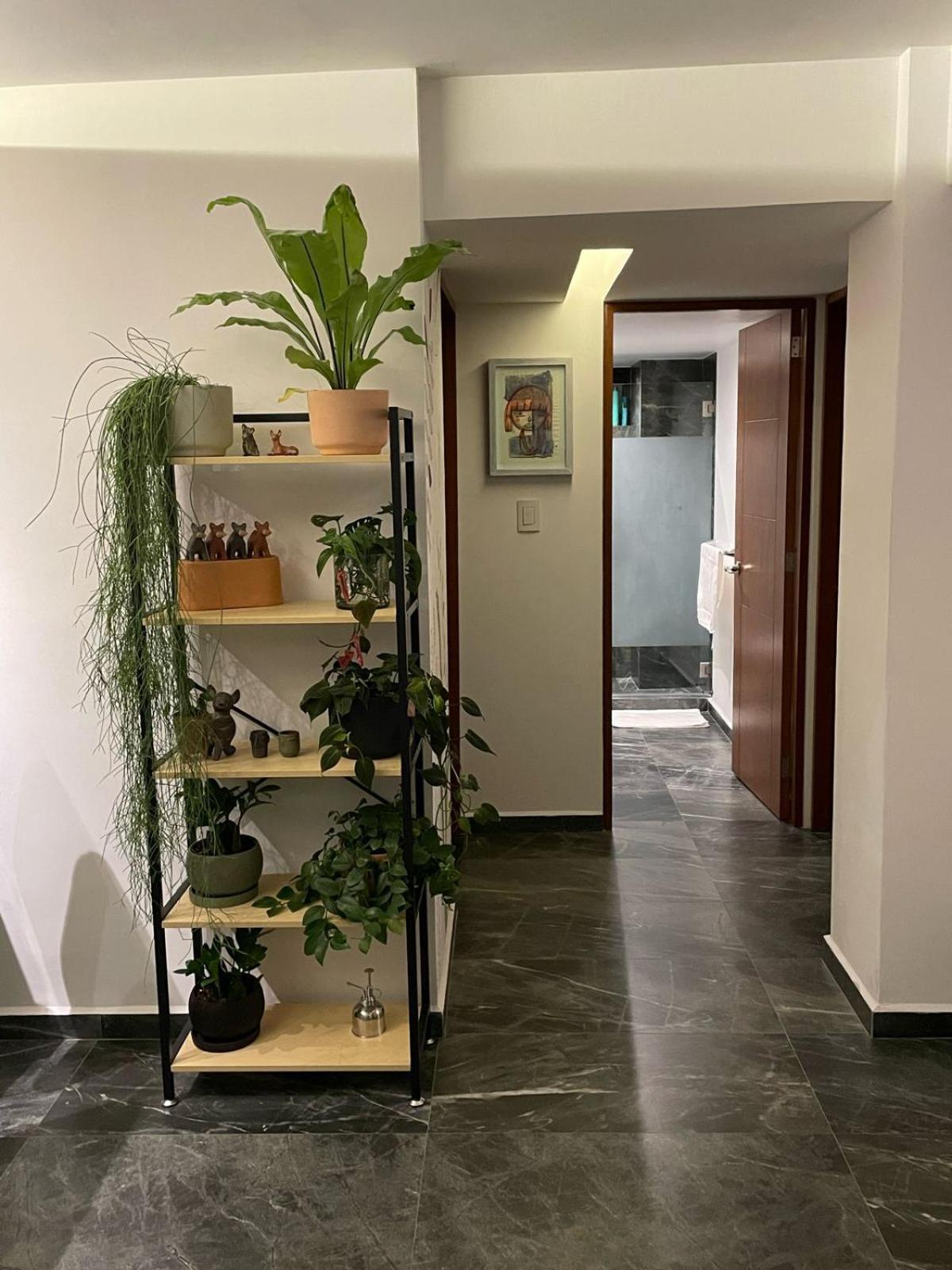 Great Apartment In The Heart Of Coyoacan Мехико Экстерьер фото