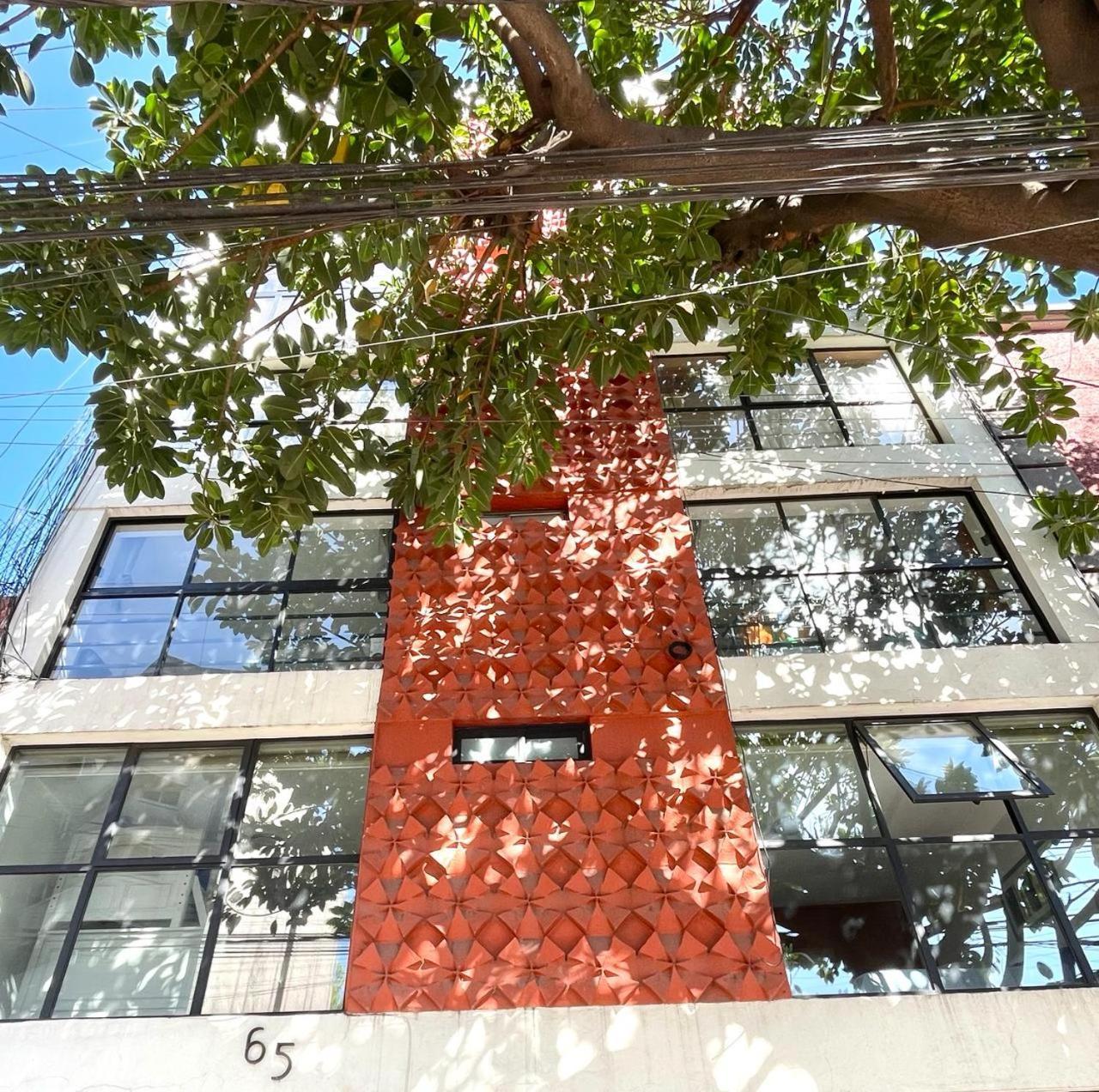 Great Apartment In The Heart Of Coyoacan Мехико Экстерьер фото